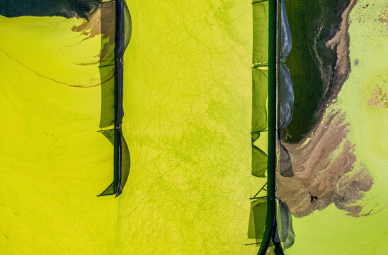 Aerial view of Parabel Nutrition Lemnature Aqua farms, an aquaculture facility, Fellsmere, Florida, United States.