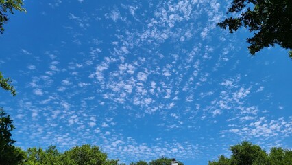 Obraz premium Blue Sky