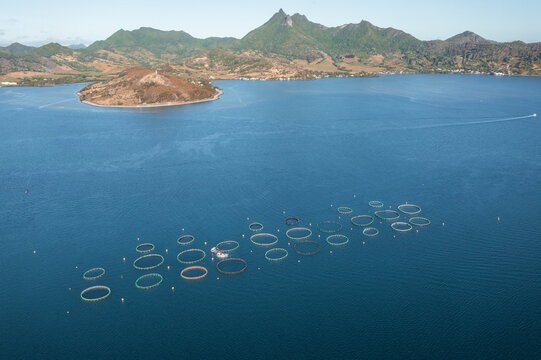 Aerial view of fish farm off the coastline in the ocean sea water, Grand Sable, Flacq District, Mauritius.