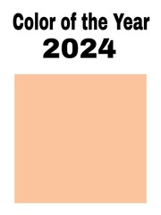 Color of the year 2024 , Peach Fuzz color , the most trendy color 