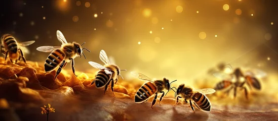 Fotobehang A group of bees flying around a beehive Busy Bees Buzzing Around Their Honeycomb Home. Copyspace image. Square banner. Header for website template © vxnaghiyev