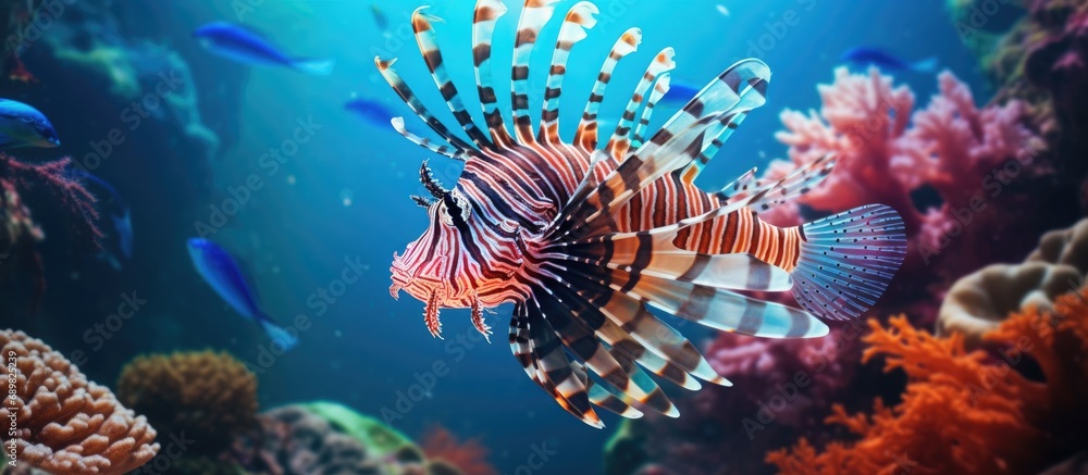 Poster Common Lionfish Pterois Miles on a colorful coral reef. Copyspace image. Square banner. Header for website template