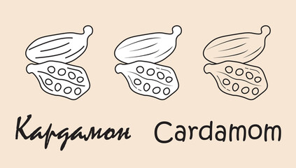 A set of cardamom  objects with the inscription "cardamom" in Russian and English. Simple vector illustration, eps