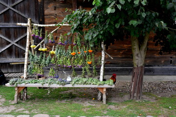 A close up on a small stand, stall, or village market full of herbs, fruits, and vegetables situated next to a barn or hut and a big lush tree spotted on a sunny summer day on a Polish countryside