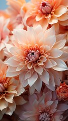 Floral background in peach color with watercolor strokes. Delicate pastel shade of the banner, copy space