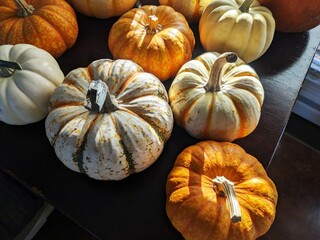 Pumkpins on table in the sunlight