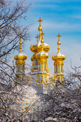 Resurrection church of Catherine palace in winter, Tsarskoe Selo (Pushkin), Saint Petersburg, Russia