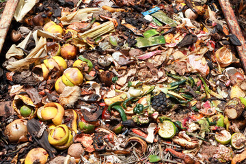 Organic Matter Compost Pile full of decaying organic matter to be used for fertilizer