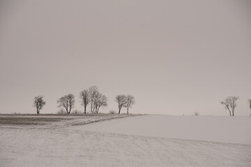 Winter landscape at the german area called Rothaargebirge