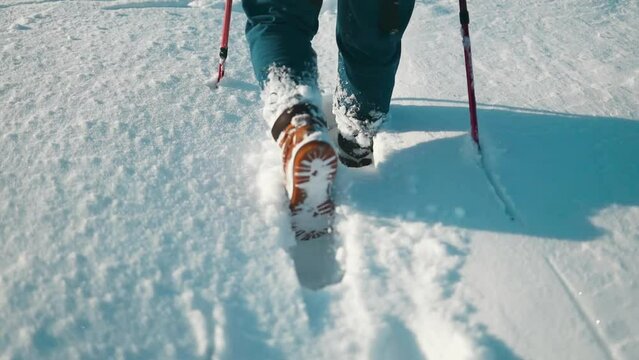 Walk in the park in winter on snow. Legs of a walking person. High quality FullHD footage