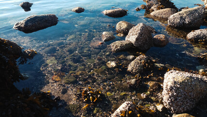 sea and rocks