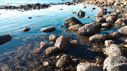 Fototapeta na wymiar stones on the beach daytime sunny