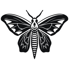 Moth silhouettes and icons. Black flat color simple elegant white background Moth animal vector and illustration.