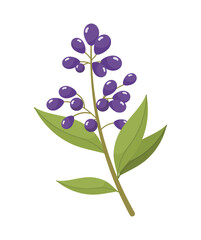 Obraz premium Branch with berries vector concept