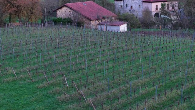 Landscape around the Torre de Murga. Aerial view from a drone. Ayala Valley. Alava. Basque Country. Spain. Europe