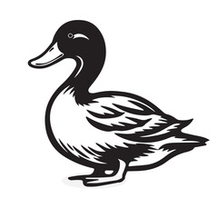 Waterfowl silhouettes and icons. Black flat color simple elegant white background Waterfowl animal vector and illustration.