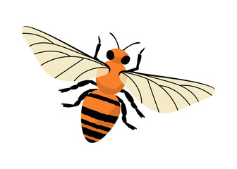 Cute insect vector concept