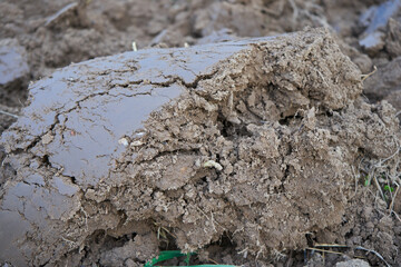 plowed land close-up,freshly plowed land with a plow in the spring in the field