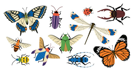 Set of insects vector