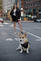 woman standing with corgi dog
