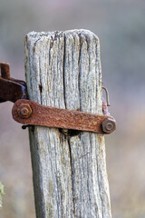 Gnarly wooden pole and rusty hinge outside in a field.