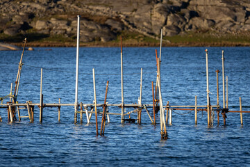 Boat mooring metal poles in the sea