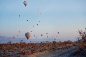 Hot air balloons dot the early morning sky, a serene landscape awakening. The tranquil flight over...