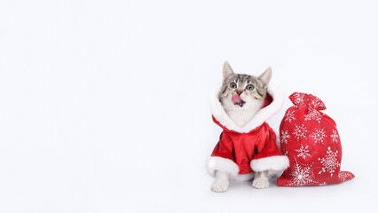 Kitten Santa Claus licks its lips. Hungry cat. Cat in Santa costume looks up. Christmas presents. Xmas Greeting card. Merry Christmas. New Year shopping sale concept. Happy New Year. Gifts. Holiday