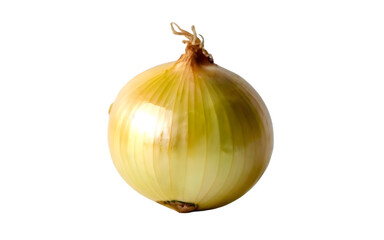close up of A Fresh yellow onion, white and transparent background
