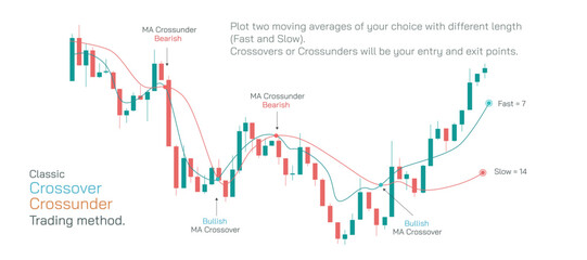 Stock market Investing and trading strategies infographics vector illustration. From beginner to expert level information.
