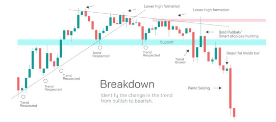 Stock market Investing and trading strategies infographics vector illustration. From beginner to expert level information.