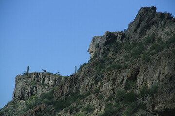 paisaje puna argentina
