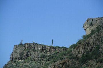 paisaje puna argentina
