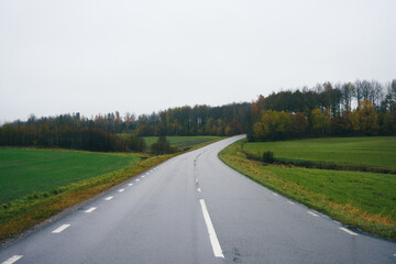 Fototapeta na wymiar View of a road during autumn