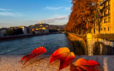 View of the embankment of River Adige during sunset in autumn. Selective focus