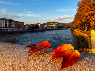 View of the embankment of River Adige during sunset in autumn. Selective focus
