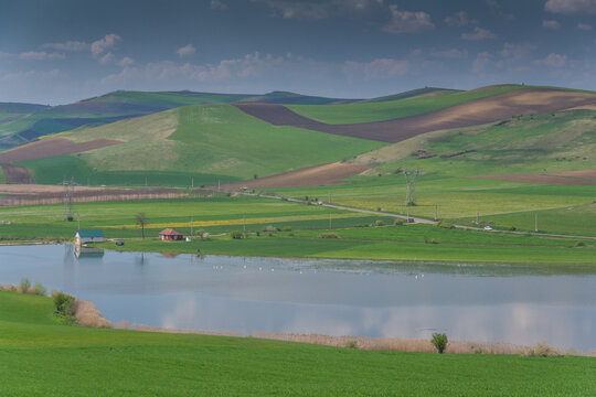 landscape with lake Zau de câmpie in Transylvania country side