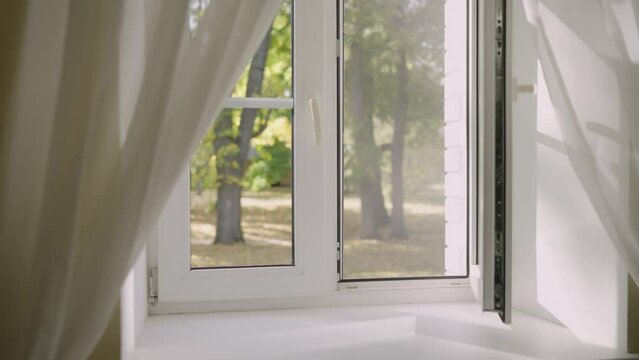 The window in the room overlooks an autumn park with autumn leaves on a tree, beautiful light from the window. Autumn, fall season. Trees with yellow leaves from two closed white wooden windows. View