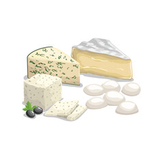Cheese illustrations. Various type of cheese. Brie, Gorgonzolla, Roquefort, Feta and Mozzarell cheese. Best for food market designs.