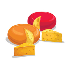 Cheese illustrations. Various type of cheese. Parmesan, Edam, Maasdam cheese. Best for food market designs.