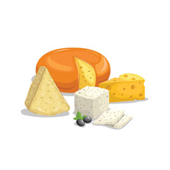 Cheese illustrations. Various type of cheese. Parmesan, Edam, Maasdam, Feta cheese. Best for food market designs.