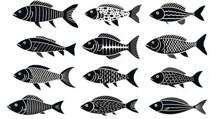 set of fish illustration