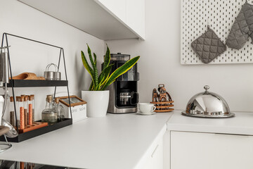White kitchen counters with cloche, houseplant and utensils