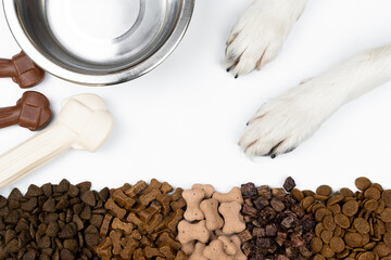 Top view of different types of dog food, dried treats next to metal bowl and white dog paws on a...