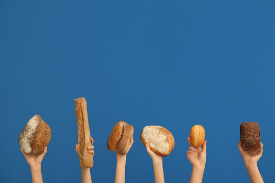 Female hands holding loaves of different fresh bread on blue background