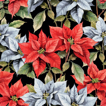 Seamless vector pattern with red and white poinsettia flowers on black changeable background. Vintage watercolor style.