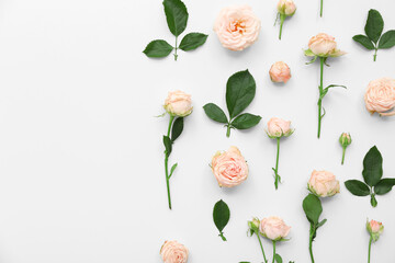 Beautiful pink roses with leaves on white background