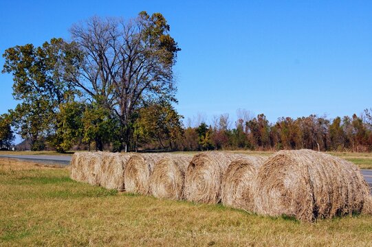 bales of hay