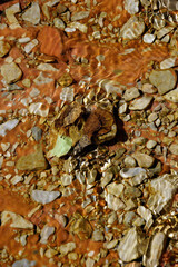 Abstract background patterns - Creek ripples