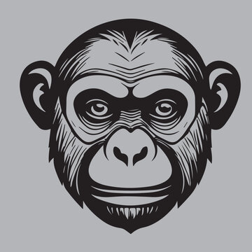 Gorilla - Monkeys Faces